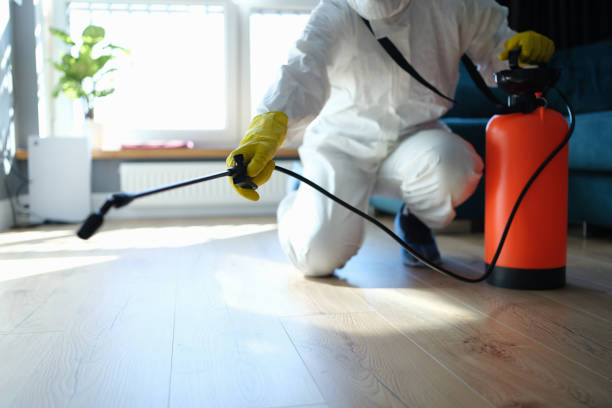 Reliable Hoarding Cleanup contractor in Beverly Hills, FL by Dulley Family Biohazard Services